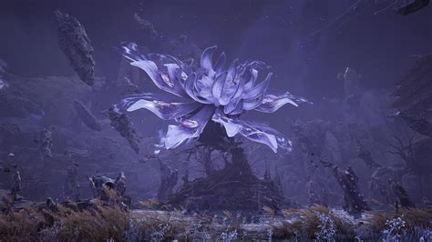netease games|Infold Games apologizes for the bugs and issues that arrived .